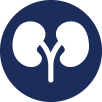 Kidney icon